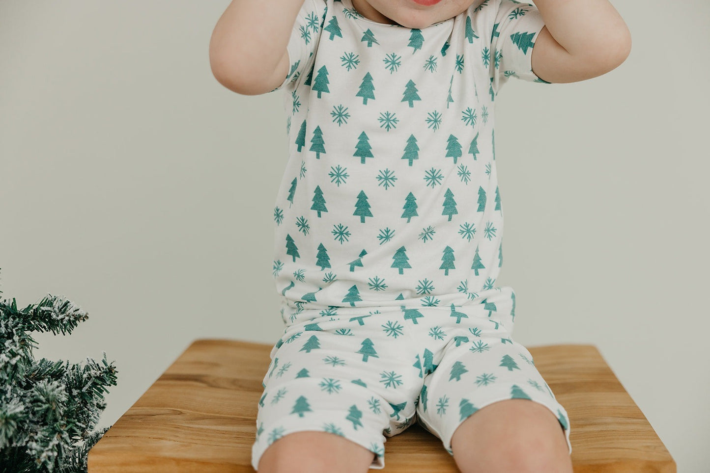 2pc Short Sleeve Pajama Set - Alps