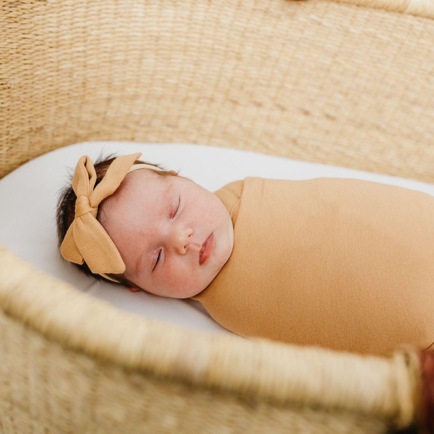 Classic Baby Bow - Dune