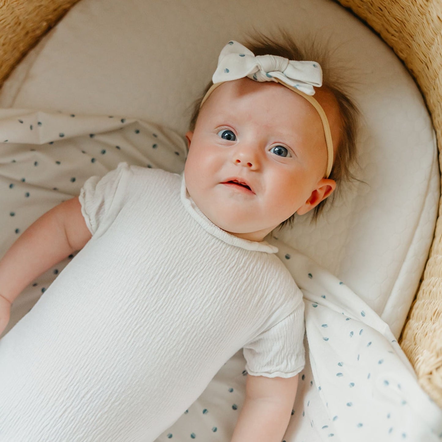 Classic Baby Bow - Haze
