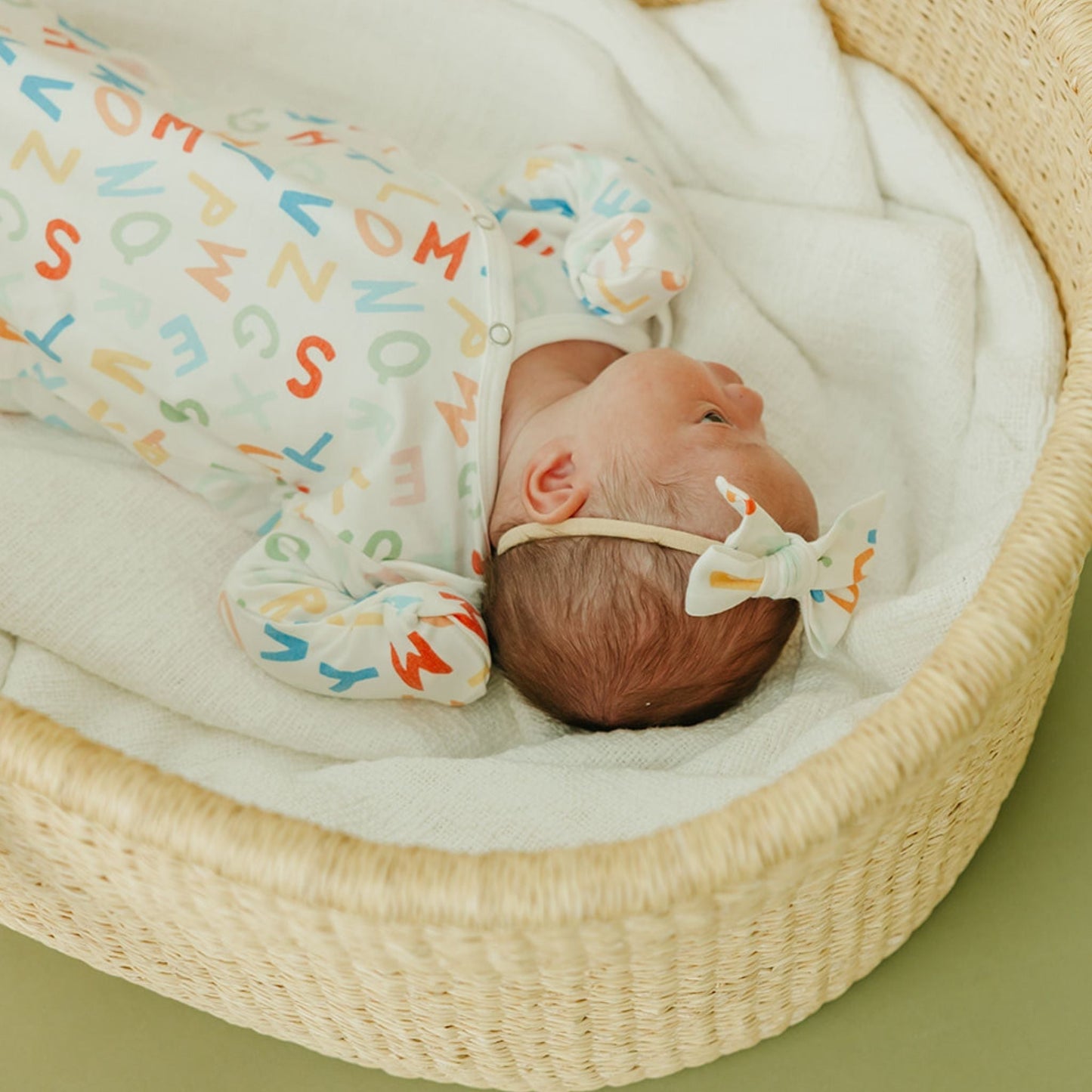 Classic Baby Bow - Webster