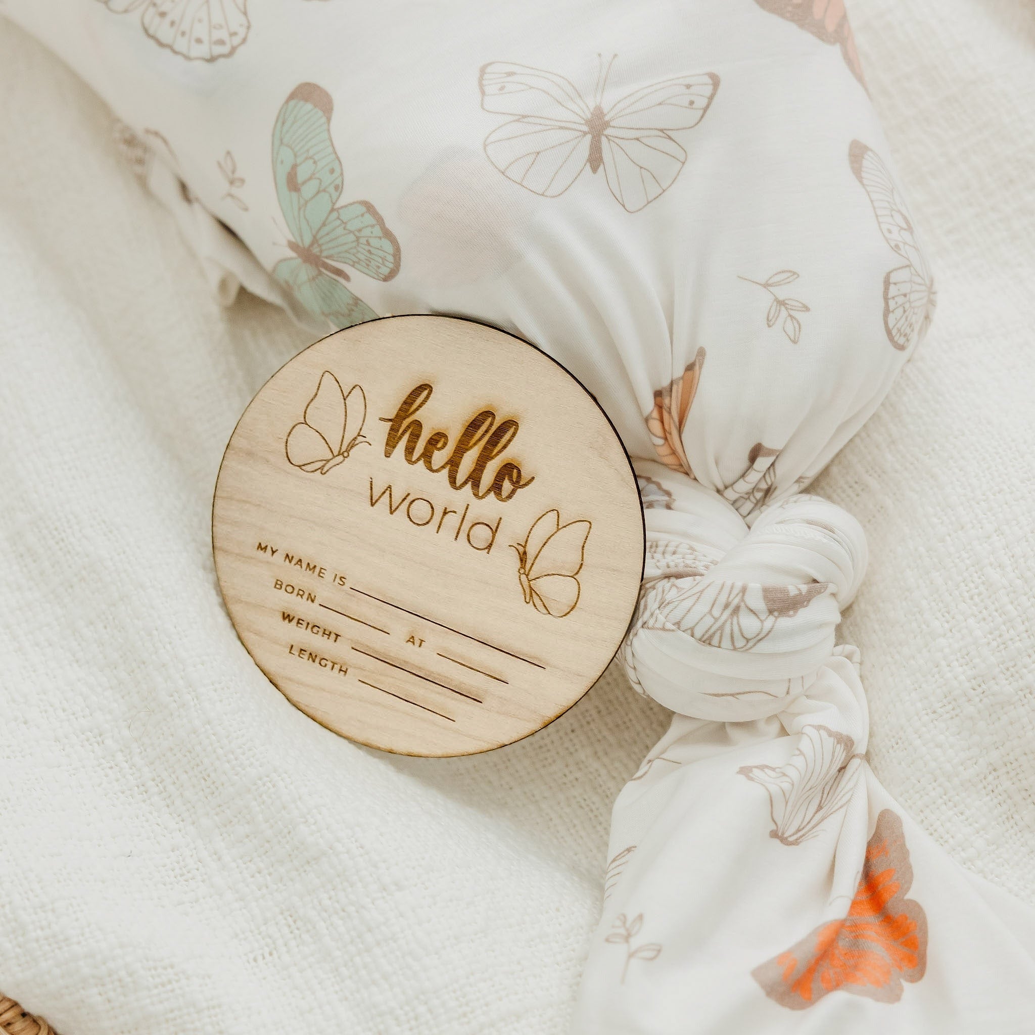 Wooden Announcement Sign - Hello World Butterfly
