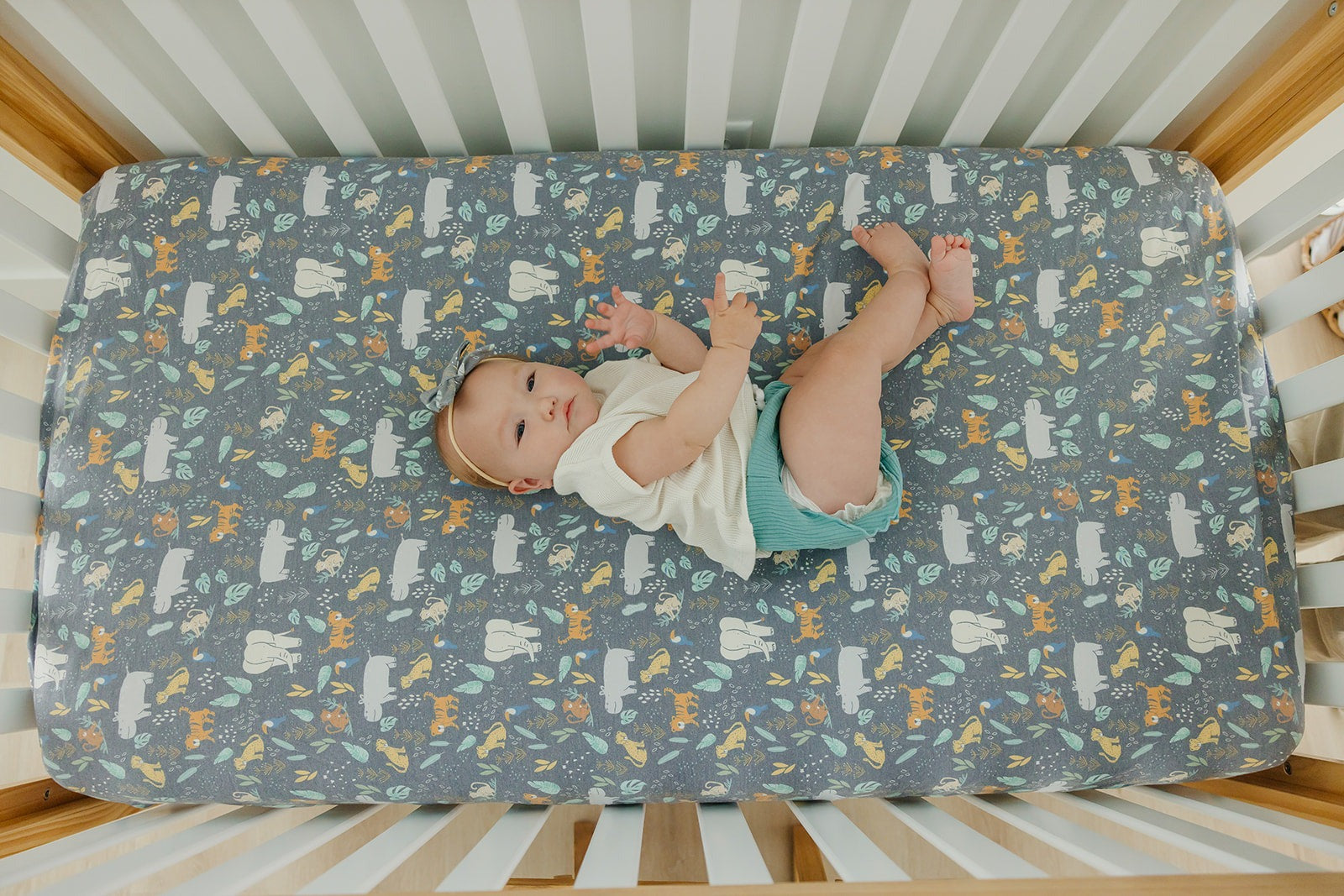 Premium Knit Fitted Crib Sheet - Bengal