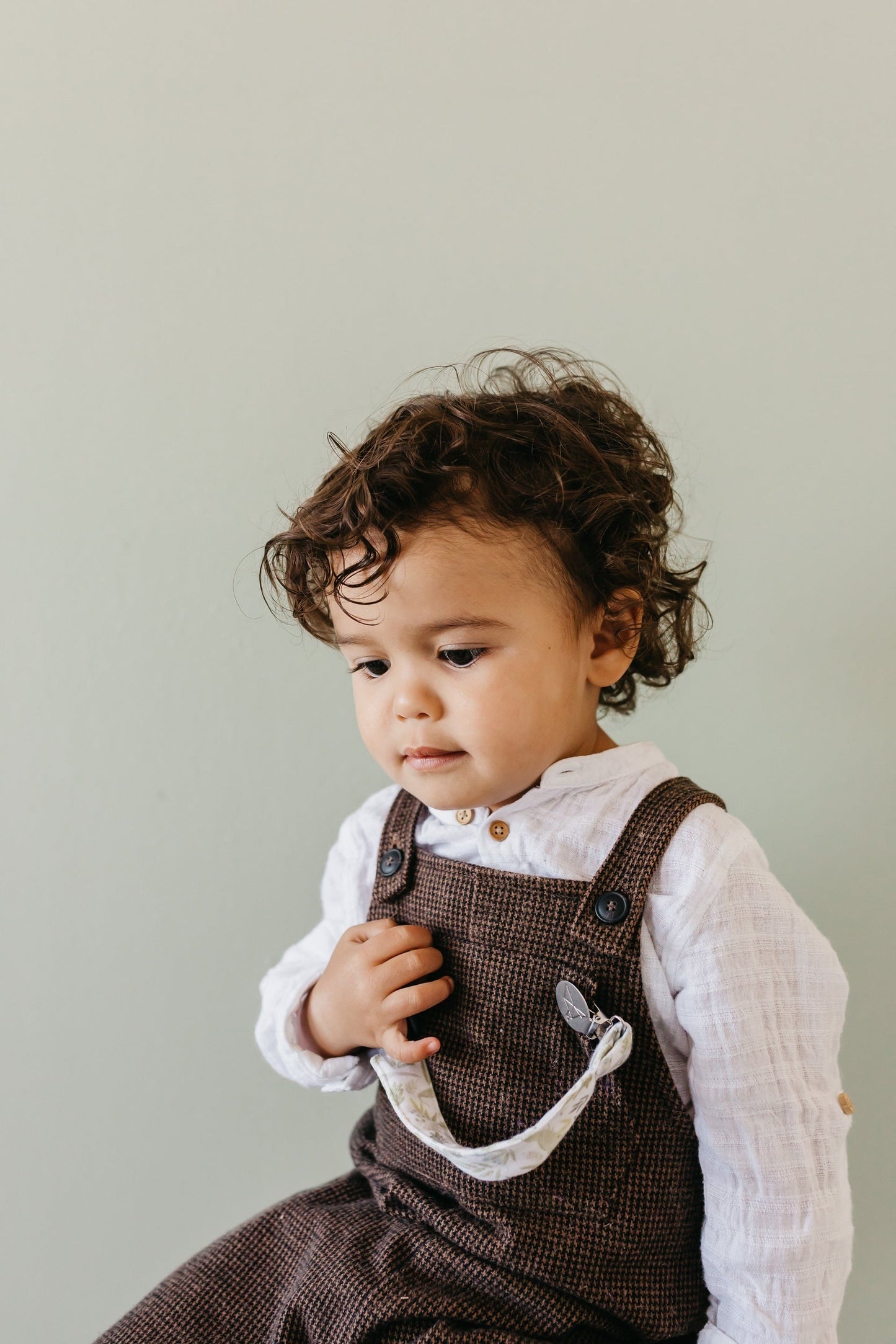 Binky Clips - Rex