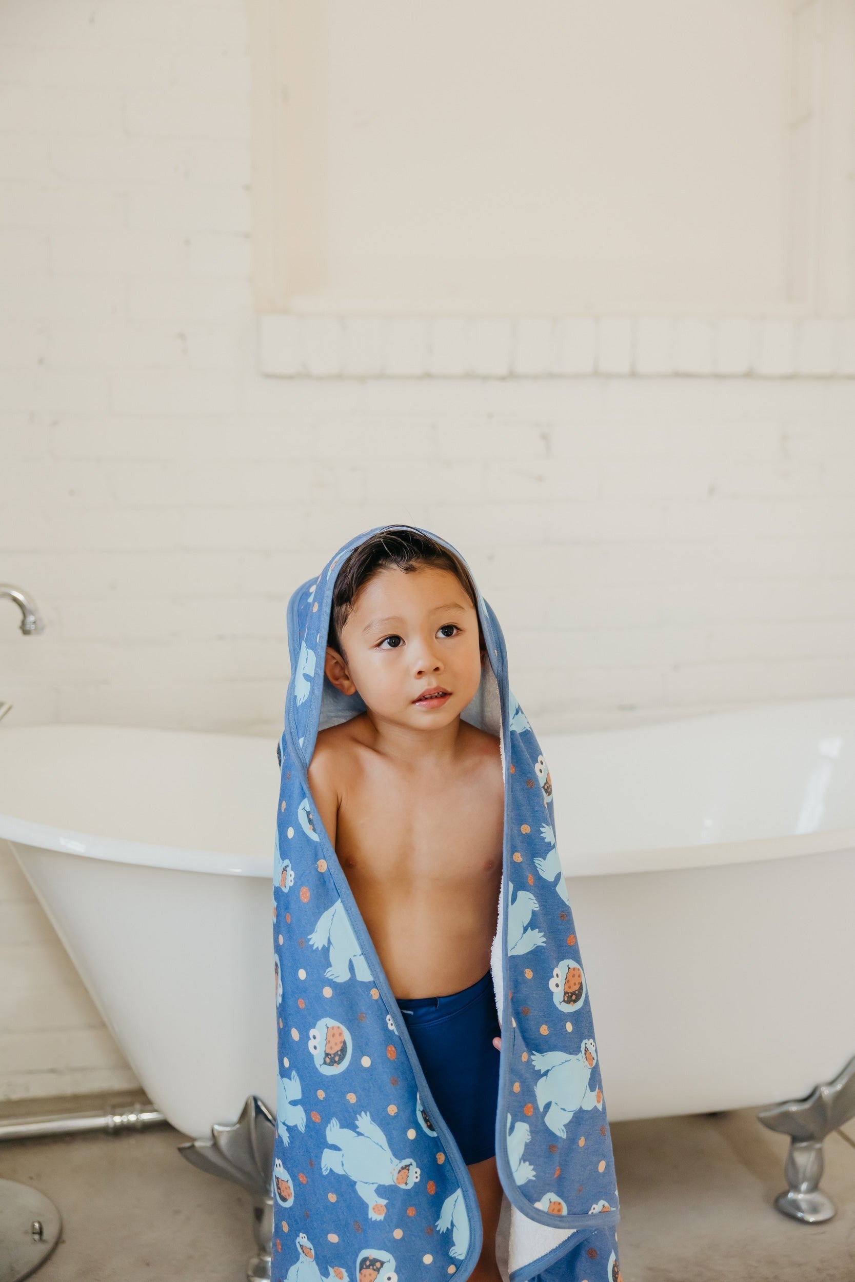 Premium Baby Knit Hooded Towel - Cookie Monster