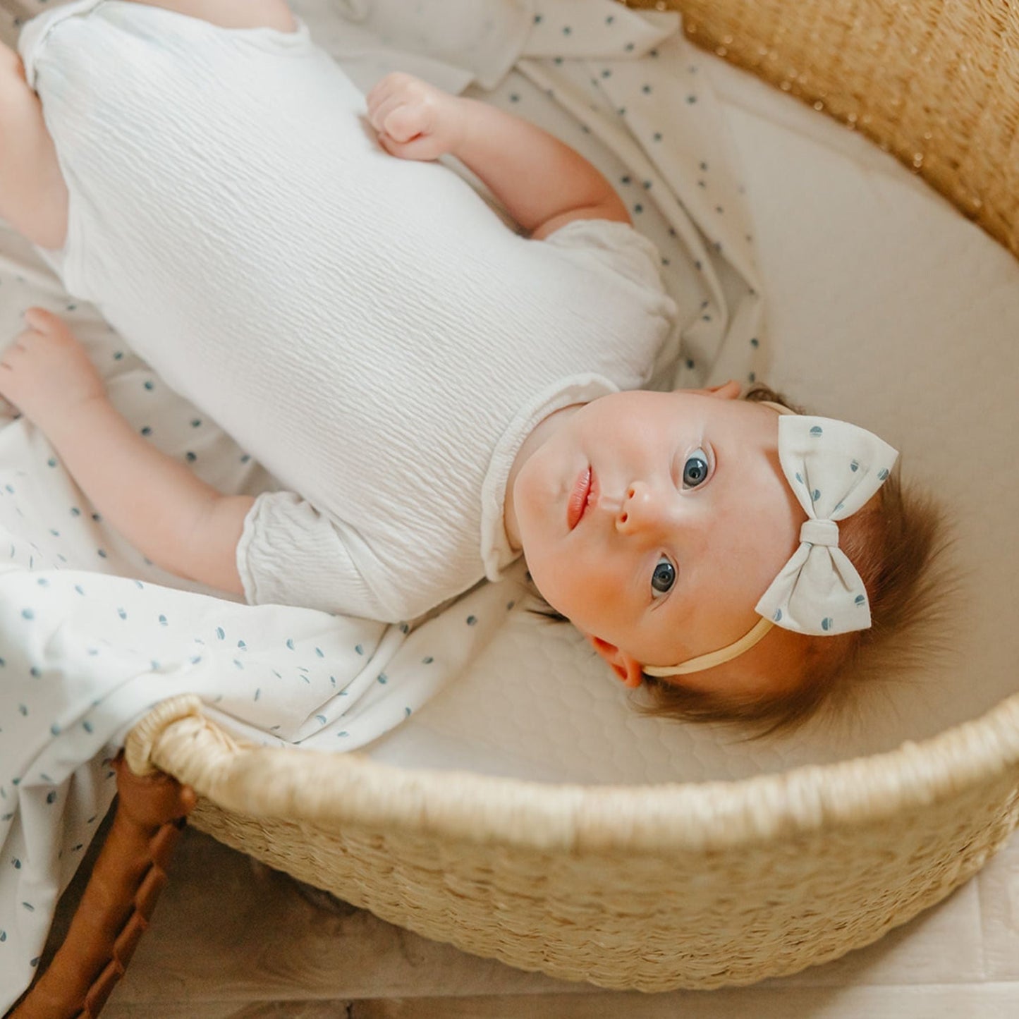 Bowtie Baby Bow - Haze