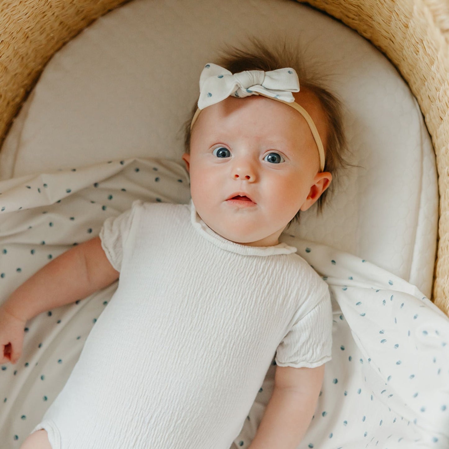 Classic Baby Bow - Haze