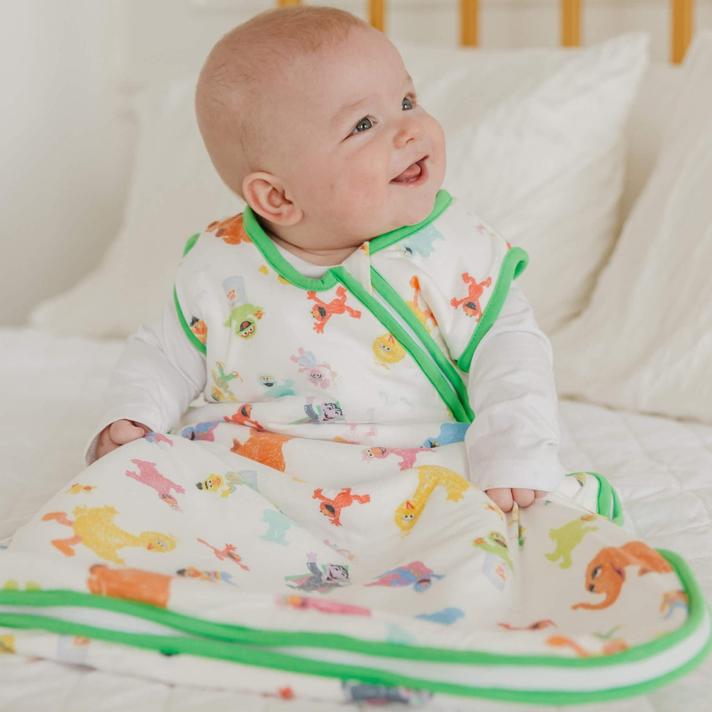 Sleep Bag - Sesame Friends