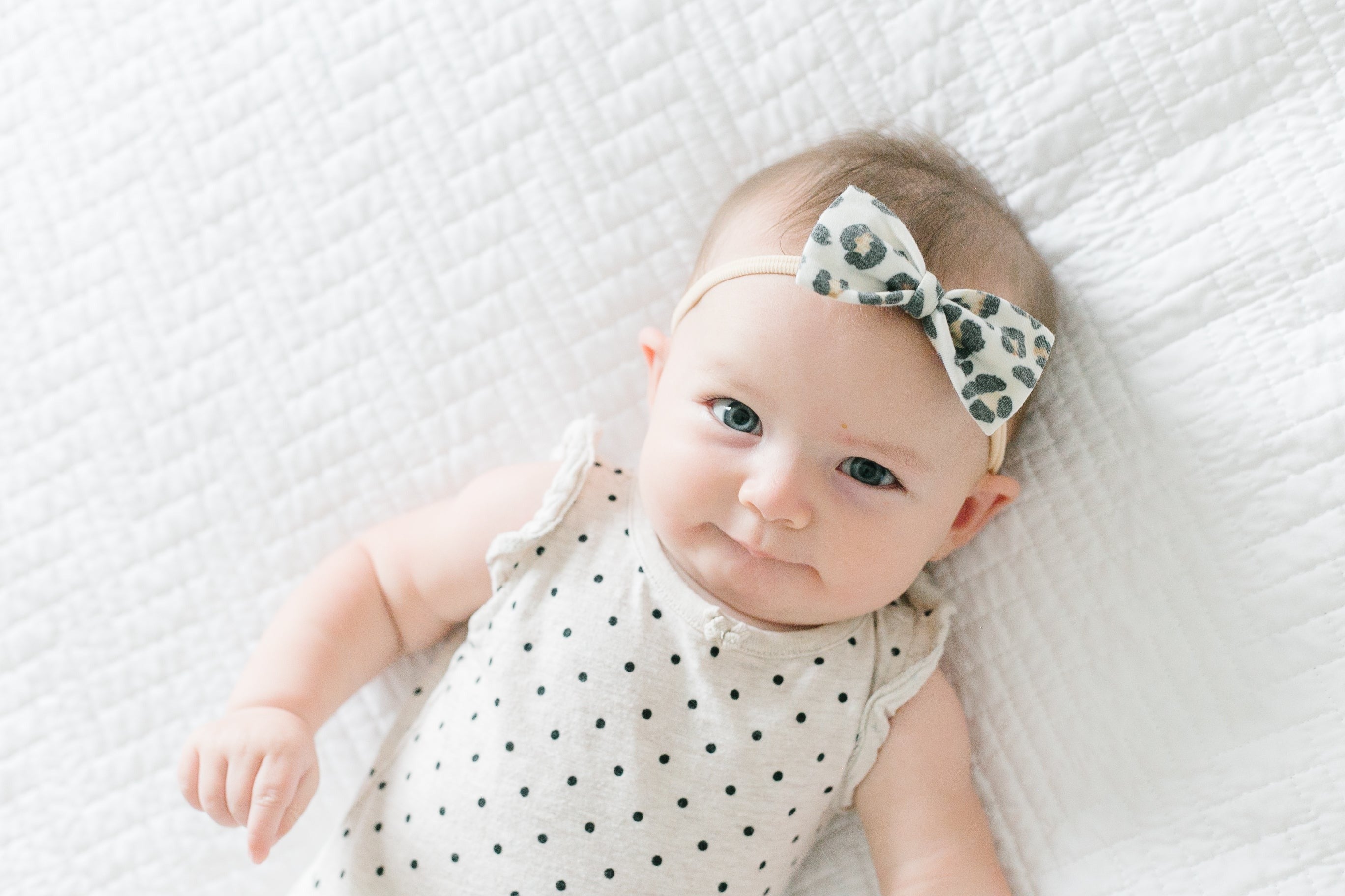 Bowtie Baby Bow - Zara