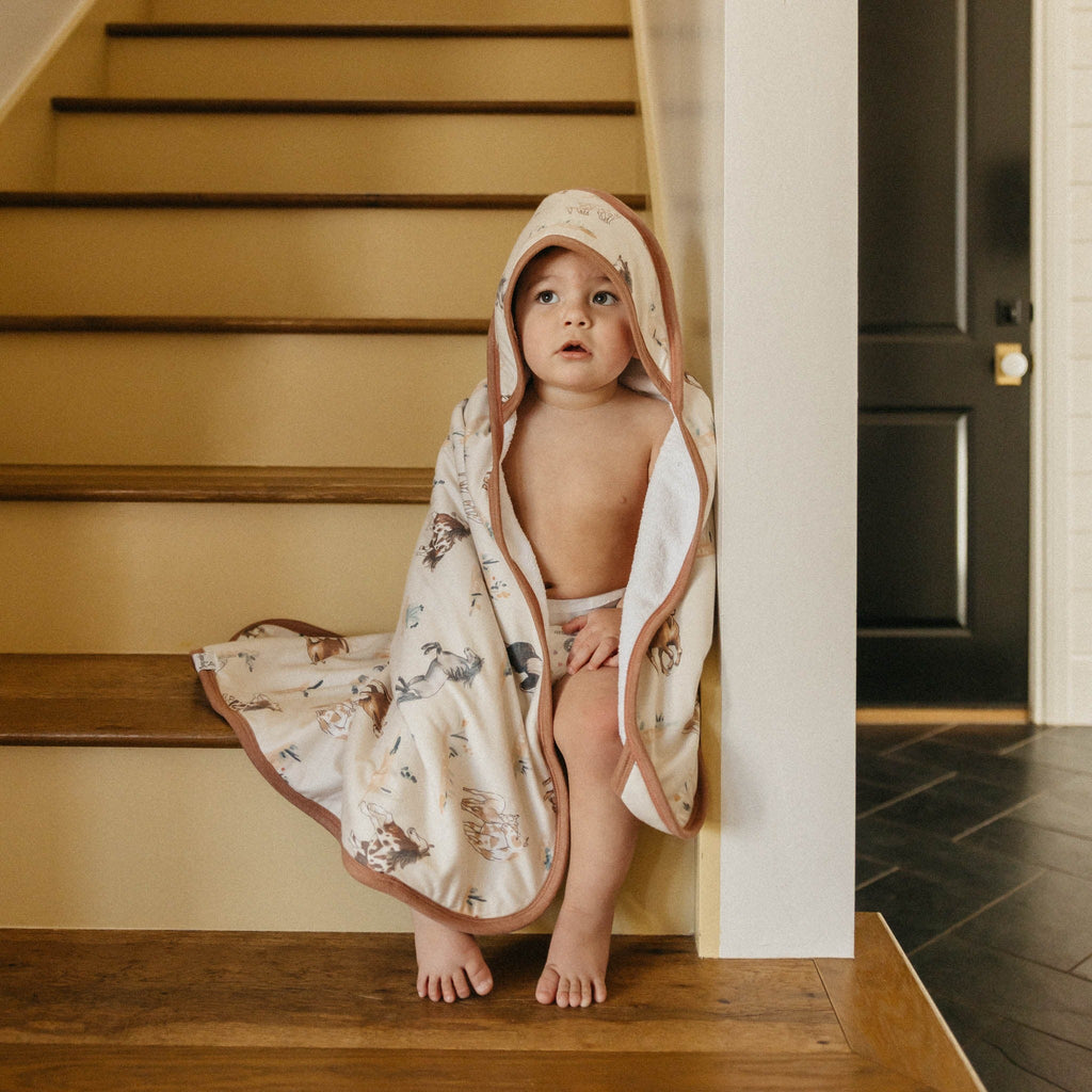 Premium Baby Knit Hooded Towel - Montana