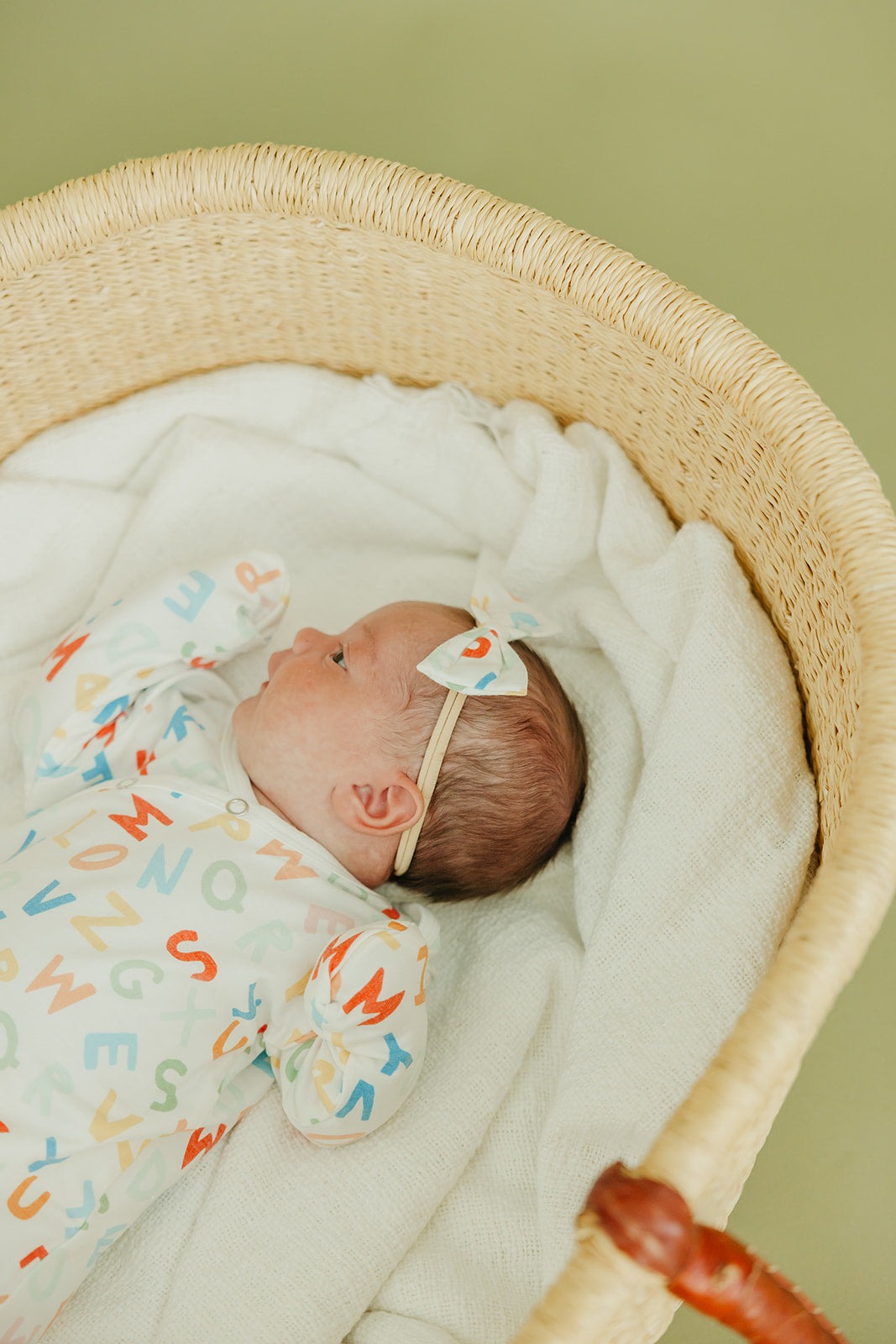 Bowtie Baby Bow - Webster