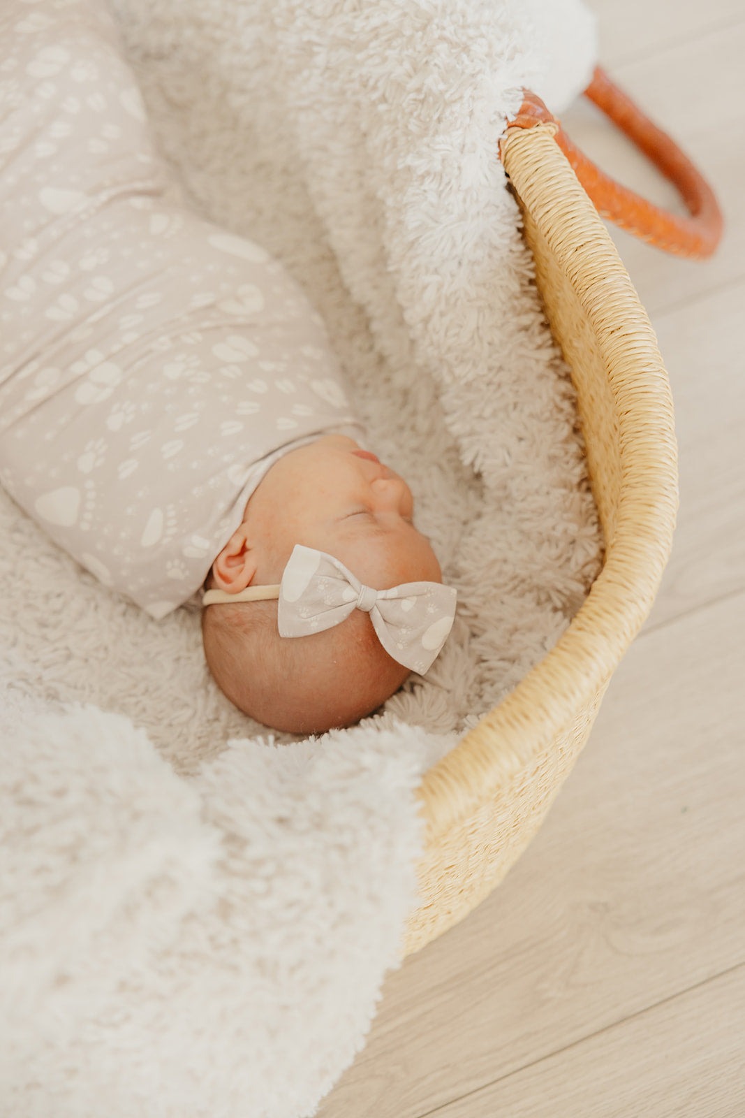 Bowtie Baby Bow - Tracker