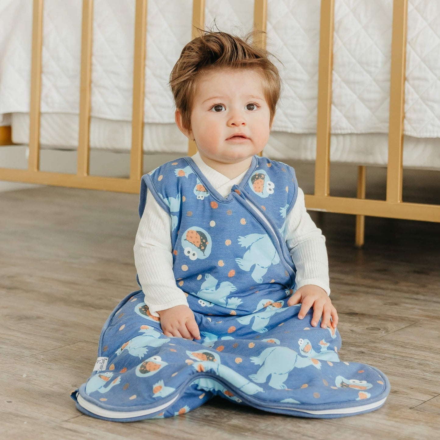 Sleep Bag - Cookie Monster