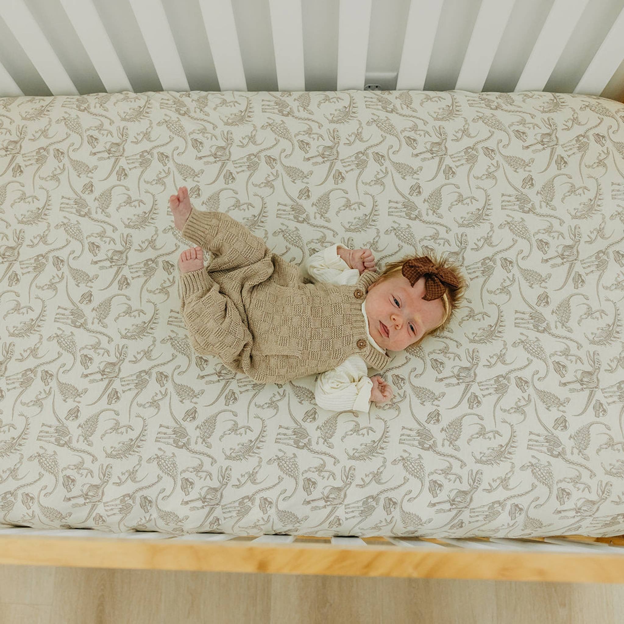 Premium Knit Fitted Crib Sheet - Jurassic Park Fossils