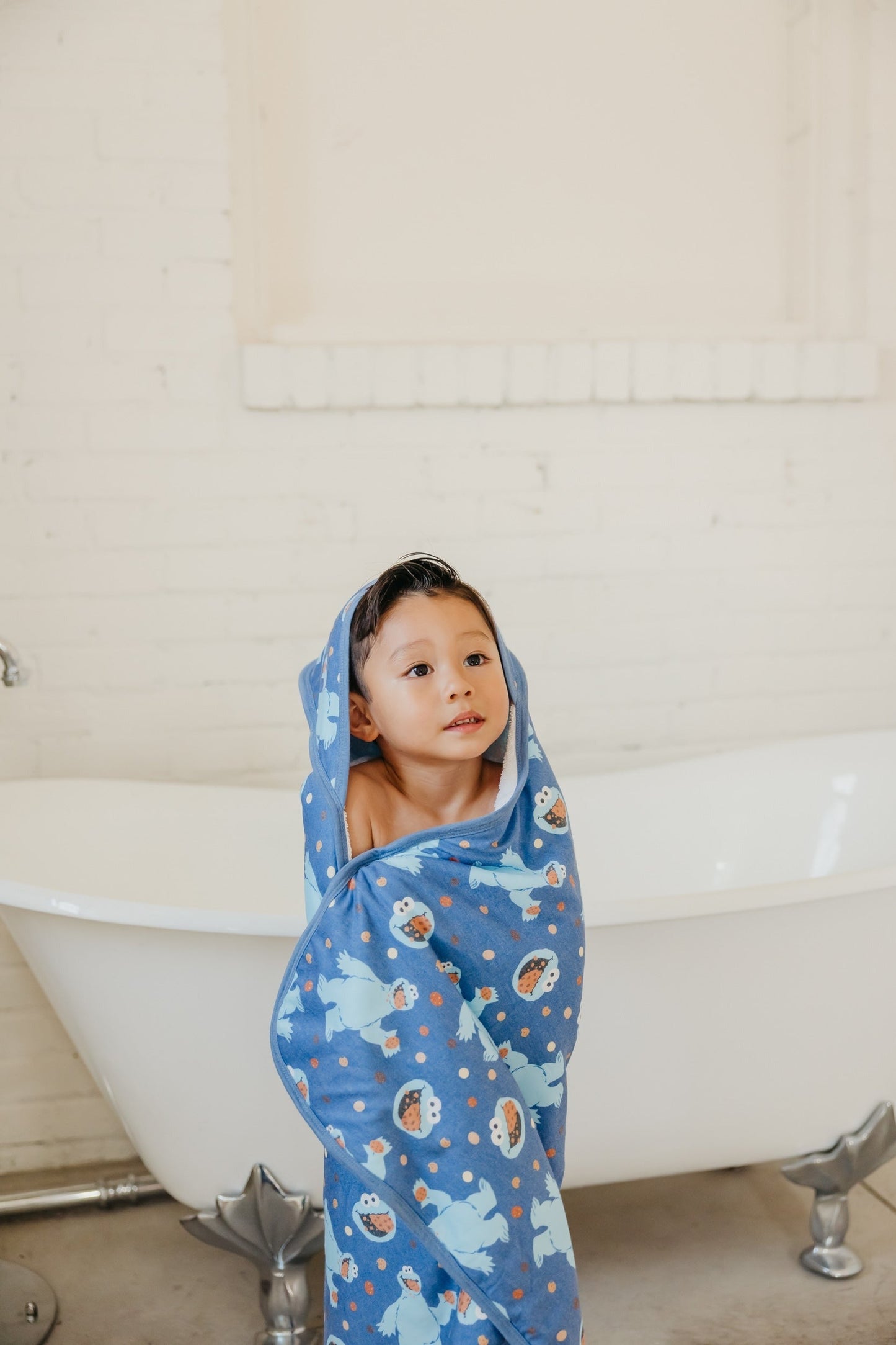 Premium Baby Knit Hooded Towel - Cookie Monster
