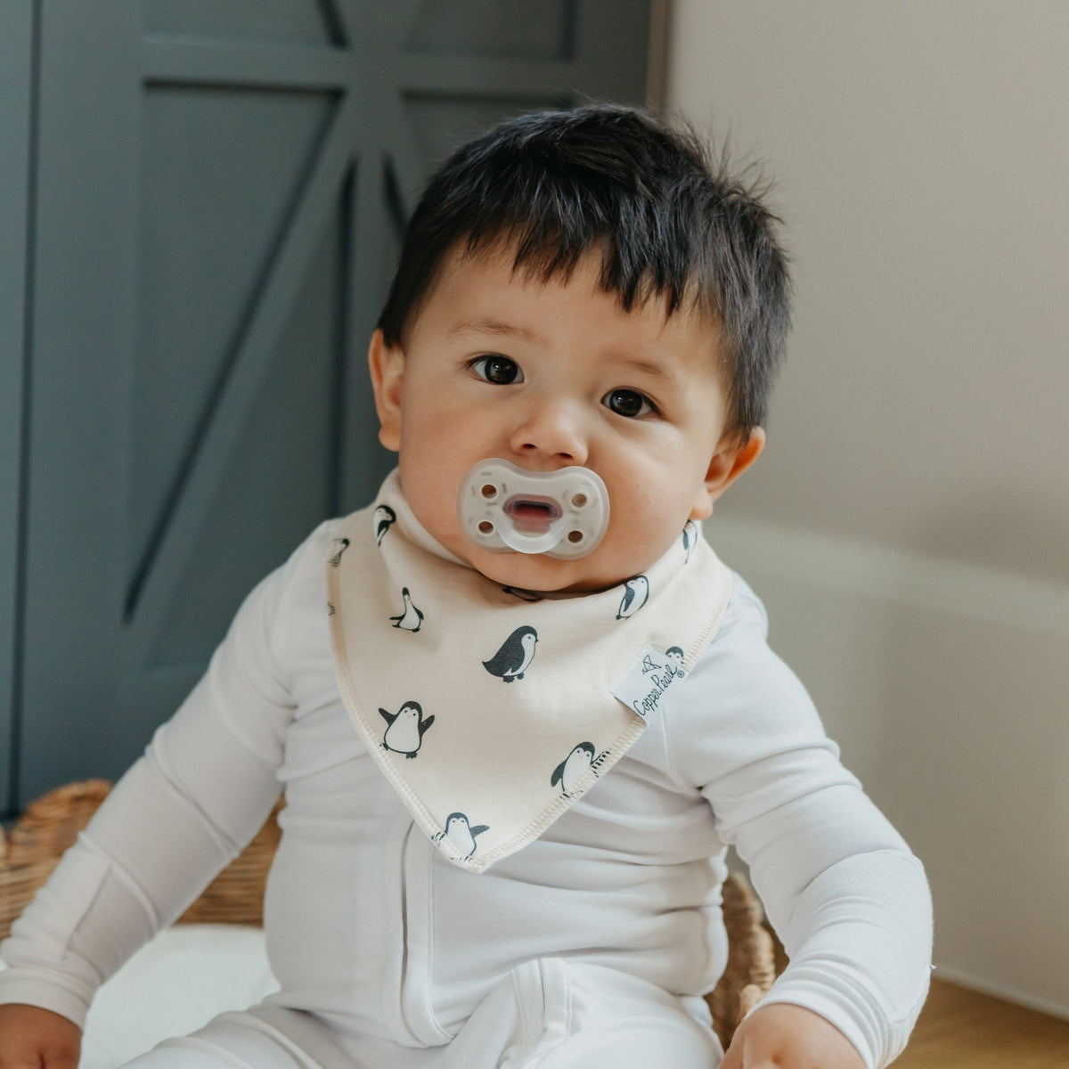 4 Pack Baby Bandana Bibs - Arctic Wonder