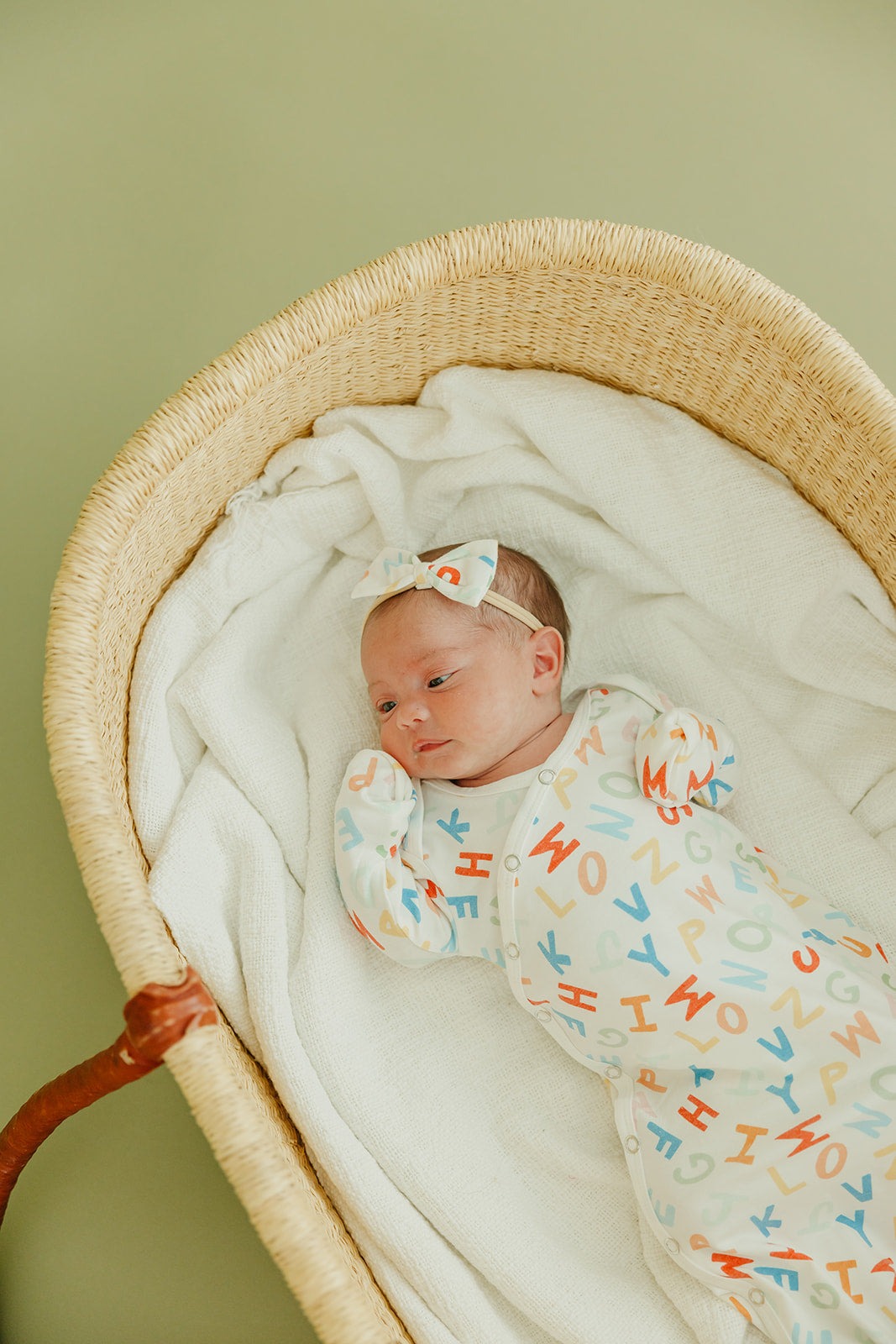 Bowtie Baby Bow - Webster