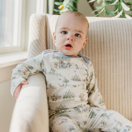 Long Sleeve Bodysuit - Hundred Acre Wood