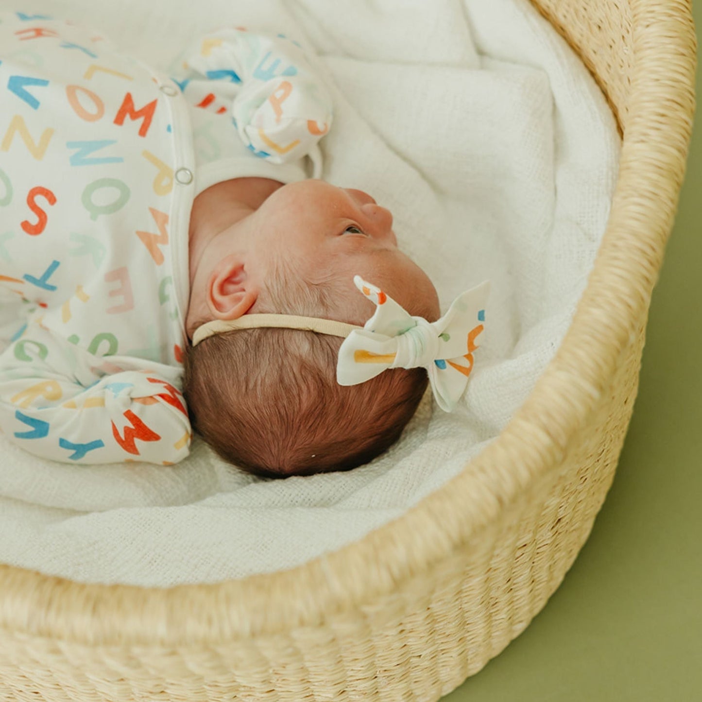 Classic Baby Bow - Webster