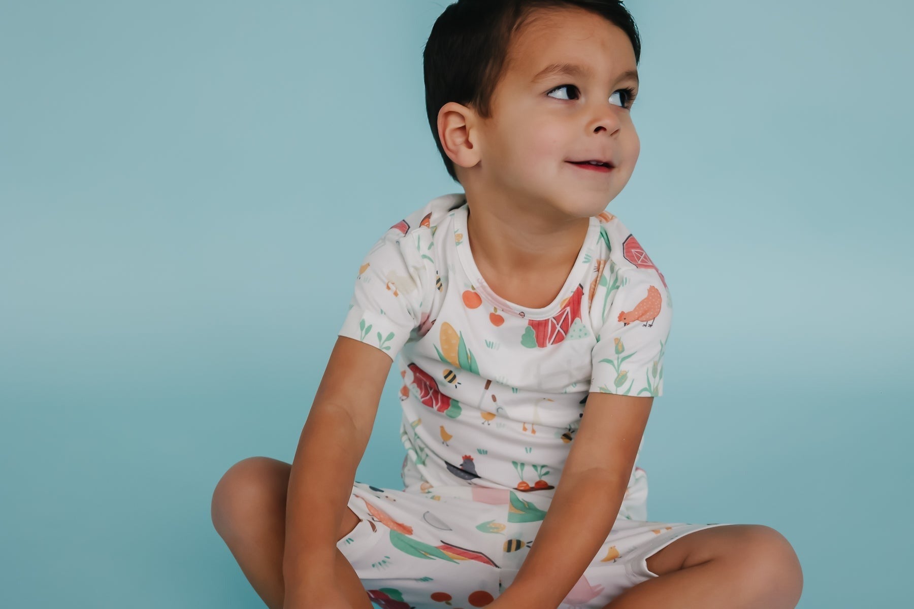 2pc Short Sleeve Pajama Set - Farmstead