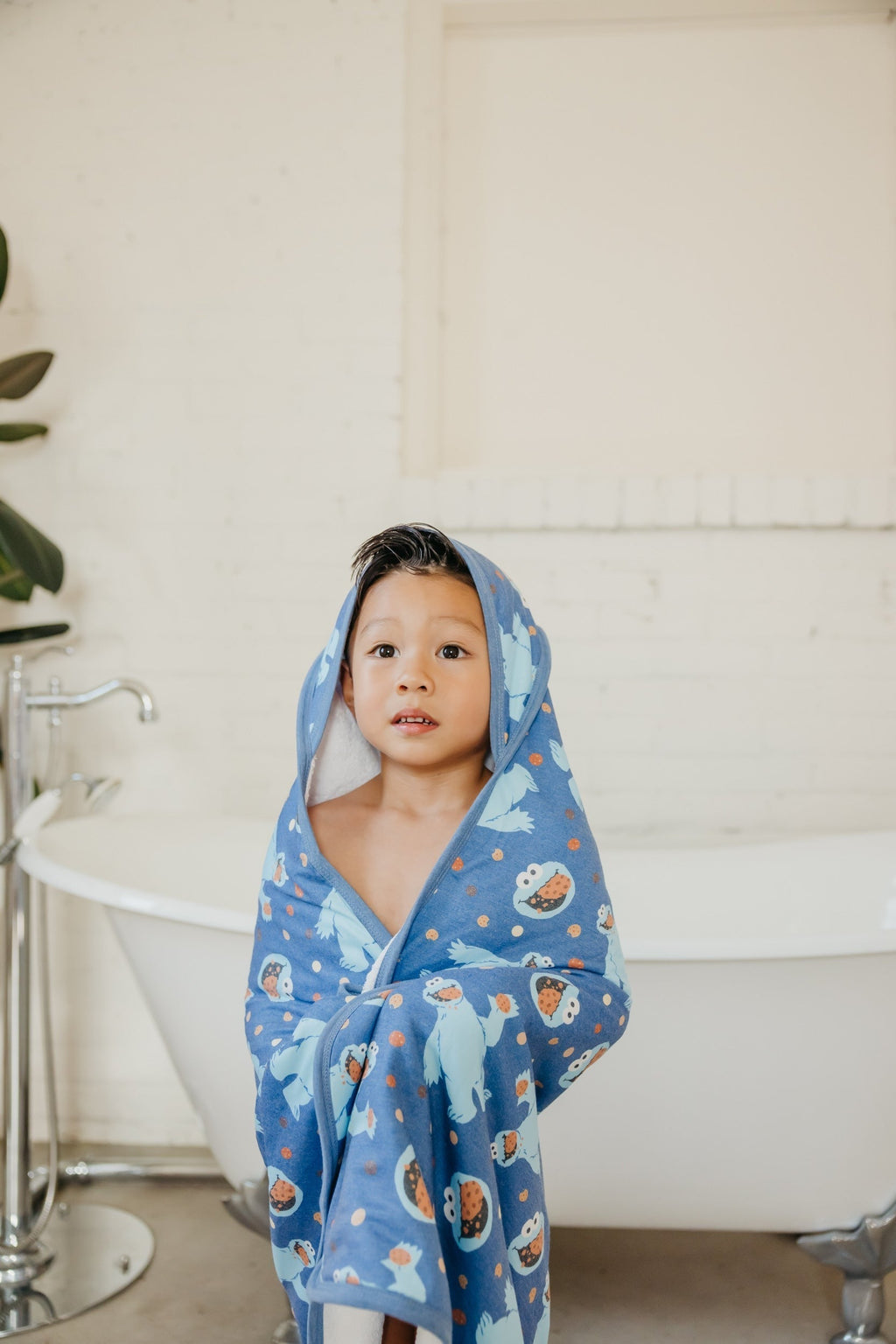Premium Baby Knit Hooded Towel - Cookie Monster