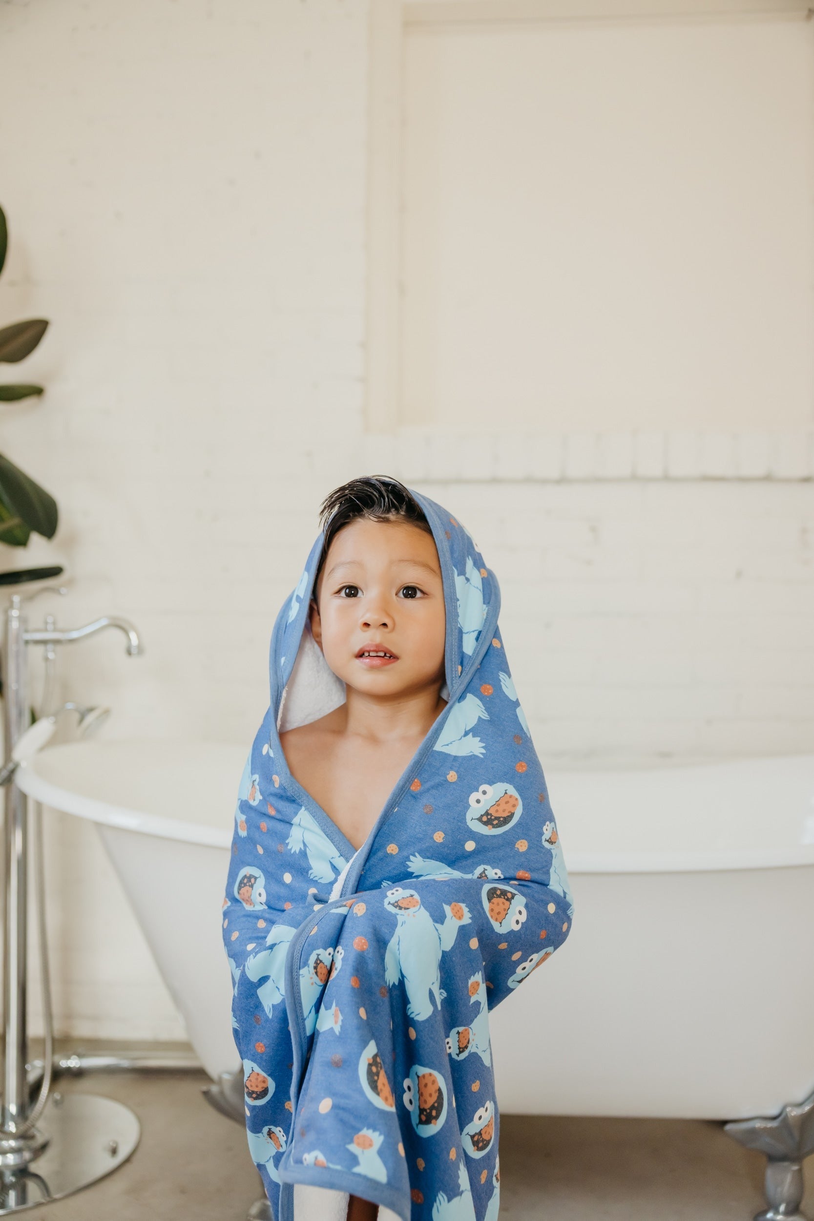 Premium Baby Knit Hooded Towel - Cookie Monster