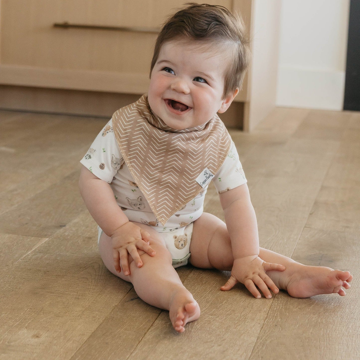 4 Pack Baby Bandana Bibs - Wilder
