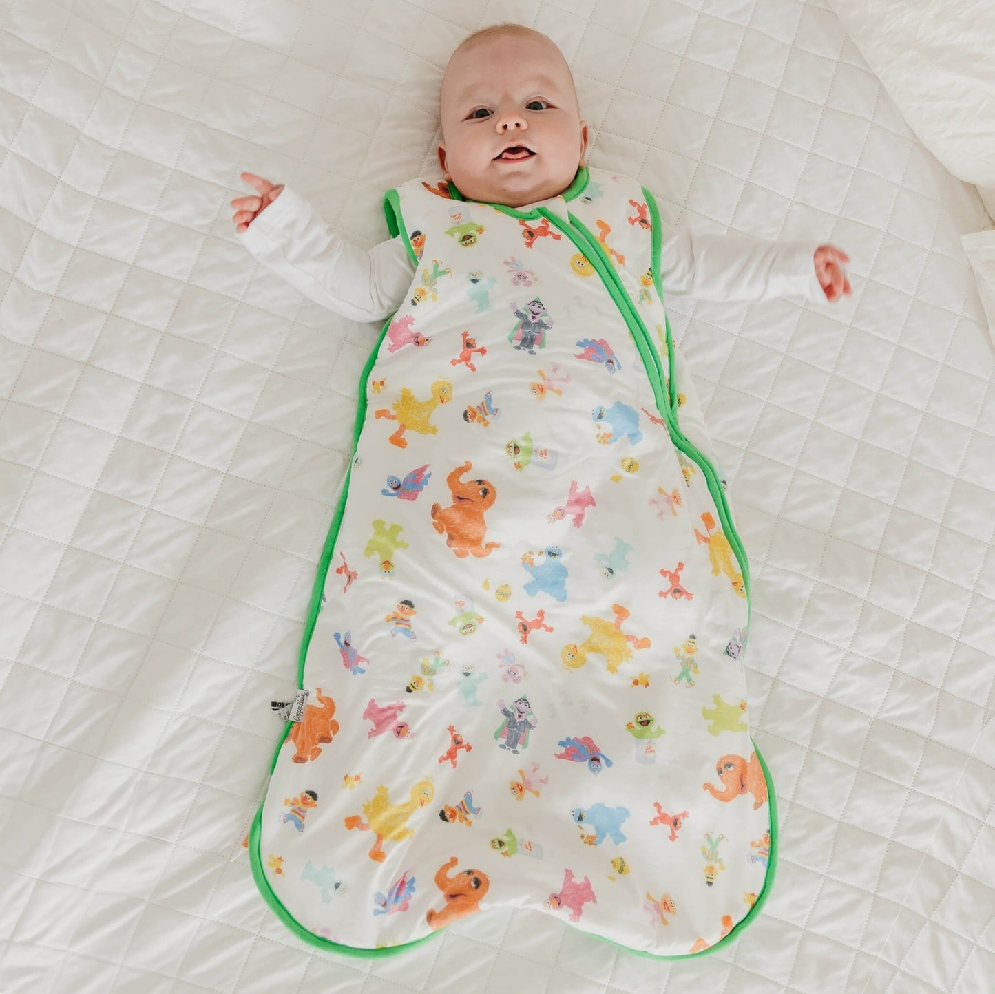 Sleep Bag - Sesame Friends