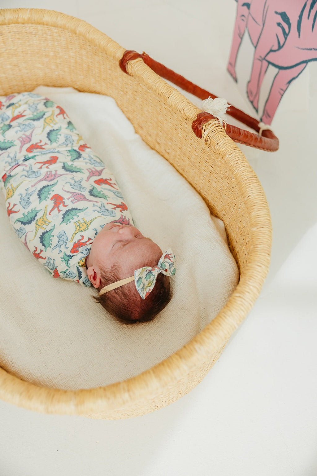 Bowtie Baby Bow - Dinosaurs of Jurassic Park