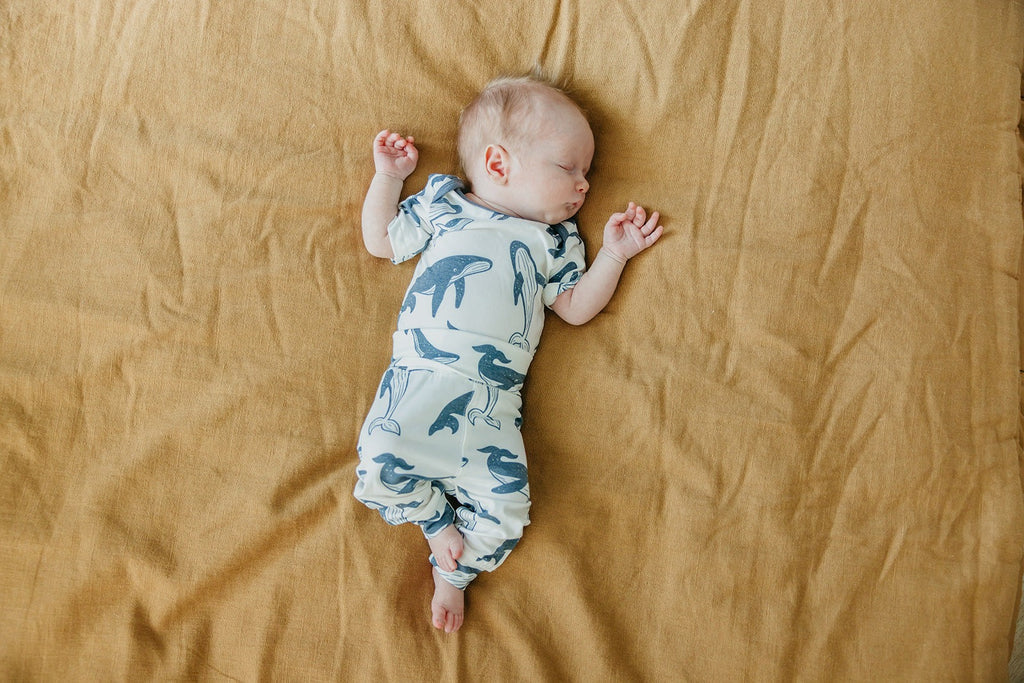 Baby Pants - Cove