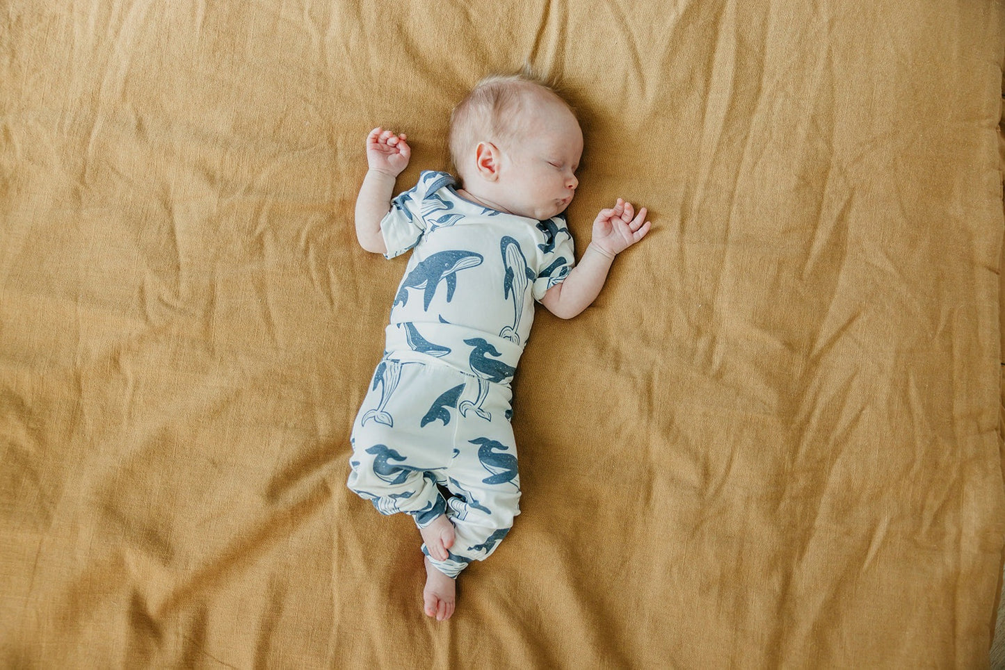 Baby Pants - Cove