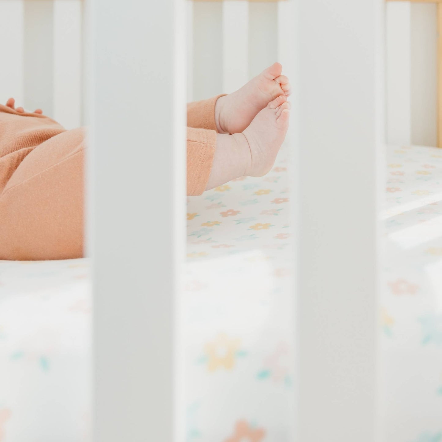 Premium Knit Fitted Crib Sheet - Daisy