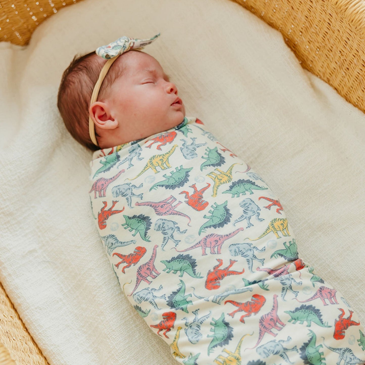 Classic Baby Bow - Dinosaurs of Jurassic Park