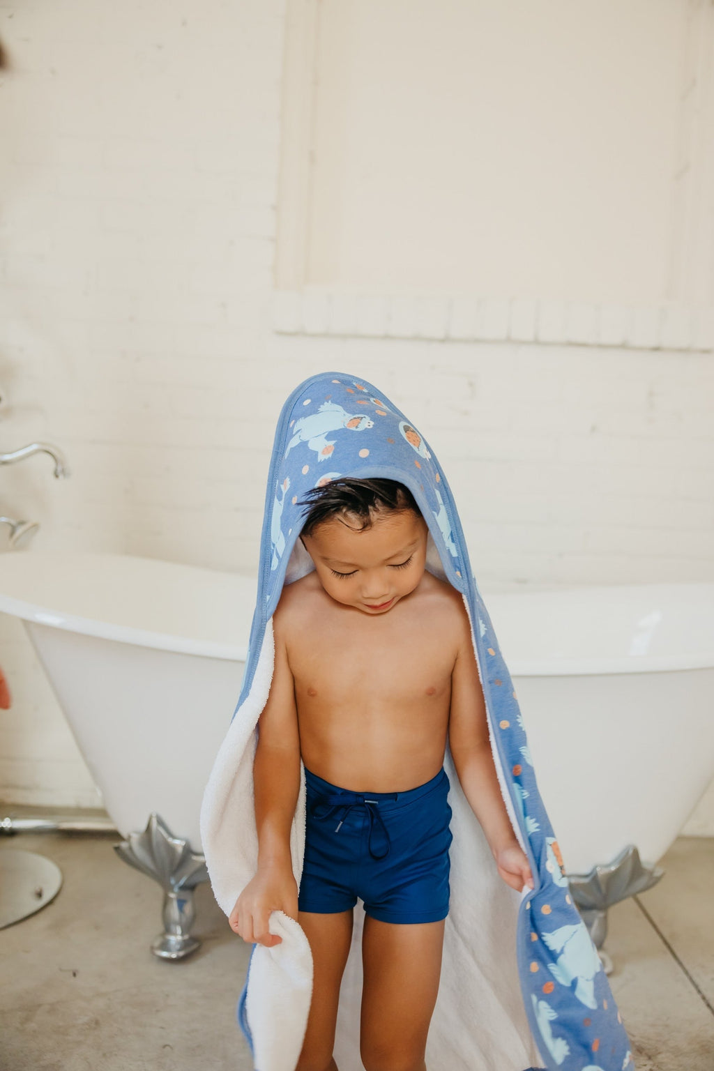 Premium Baby Knit Hooded Towel - Cookie Monster