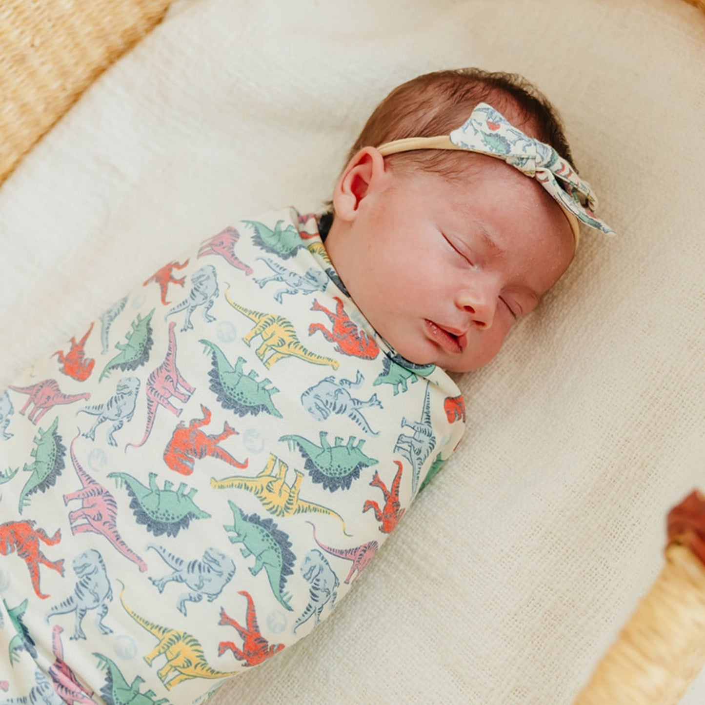 Classic Baby Bow - Dinosaurs of Jurassic Park