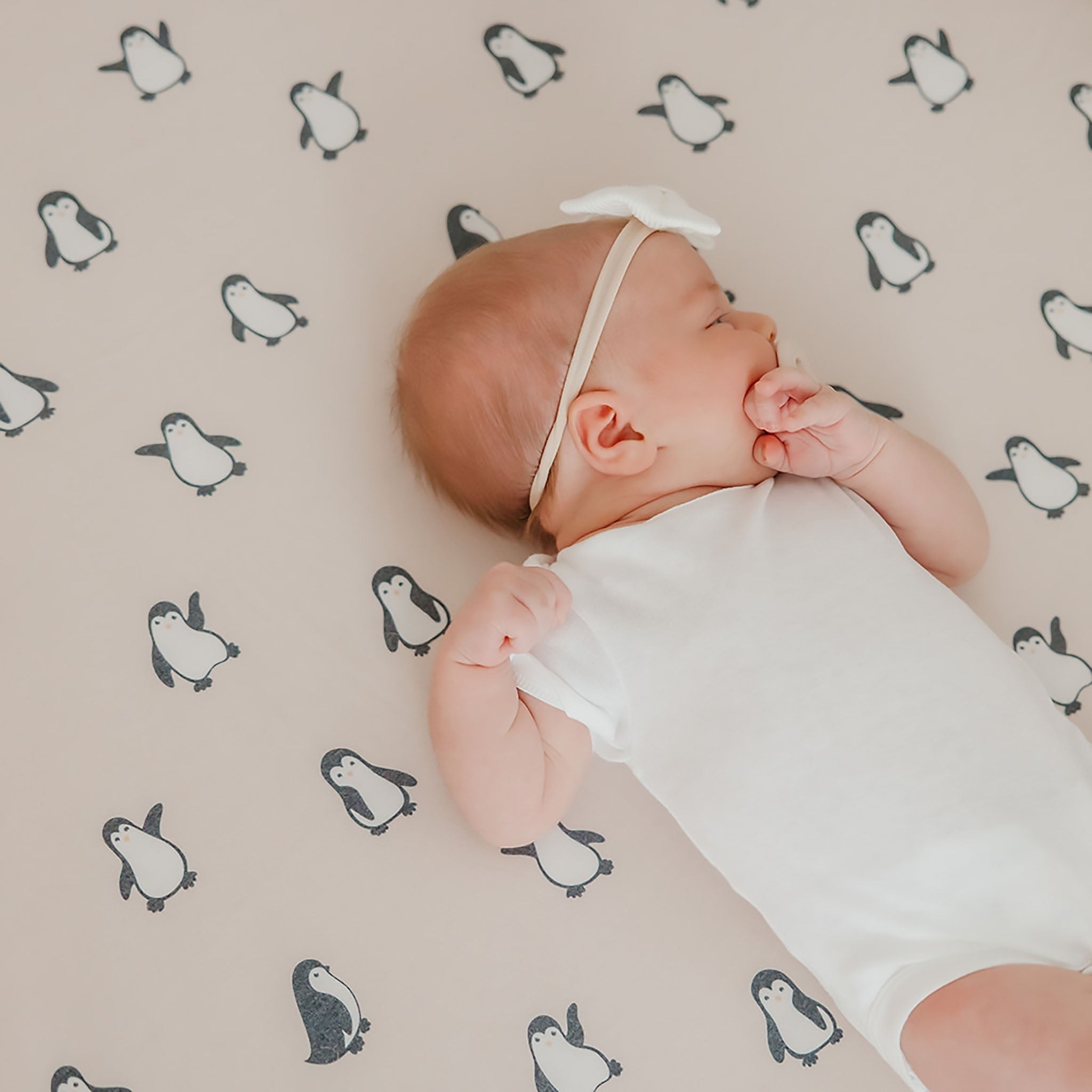 Premium Knit Fitted Crib Sheet - Penguins