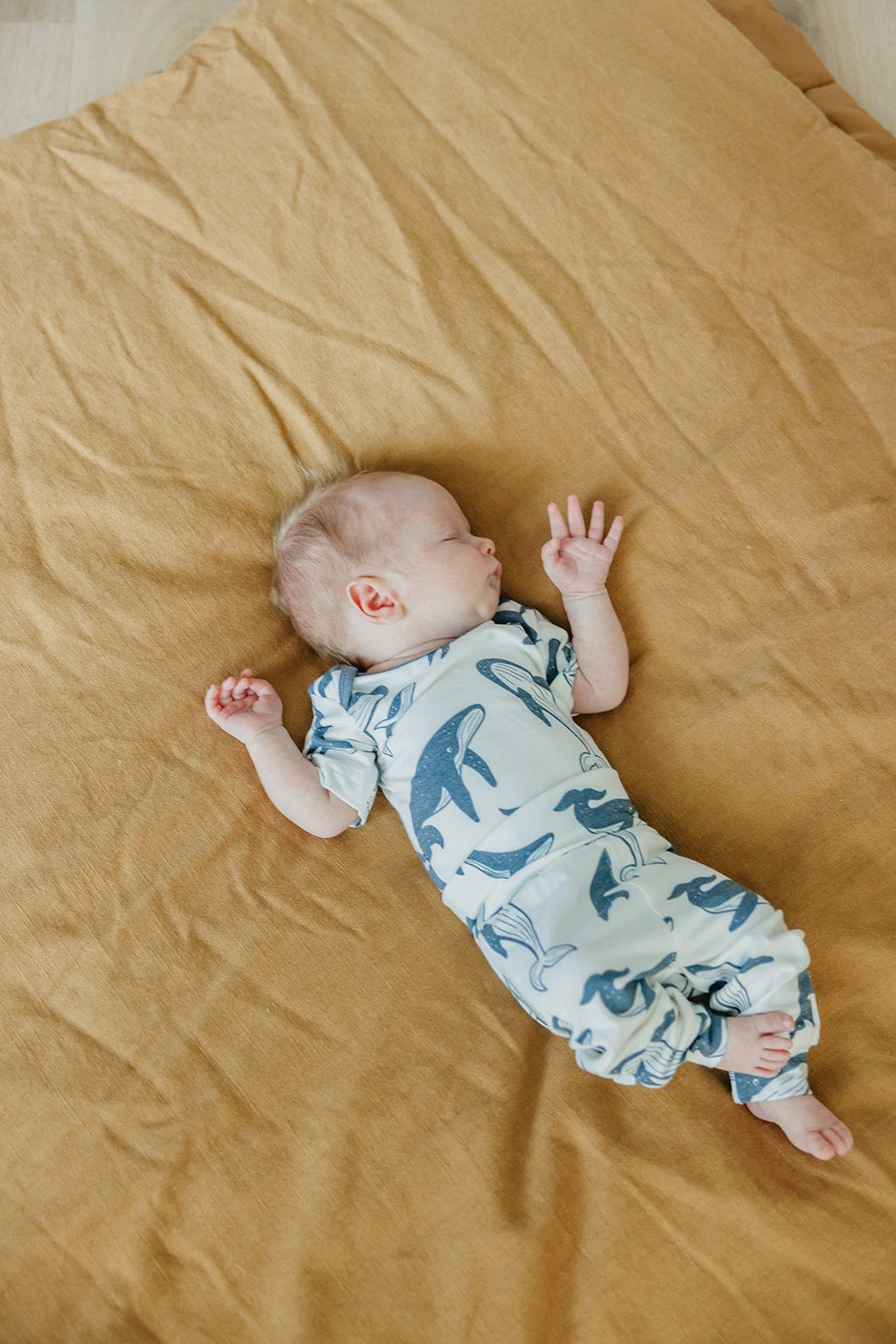 Short Sleeve Bodysuit - Cove