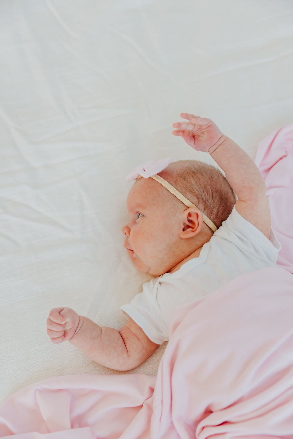 Bowtie Baby Bow - Blossom