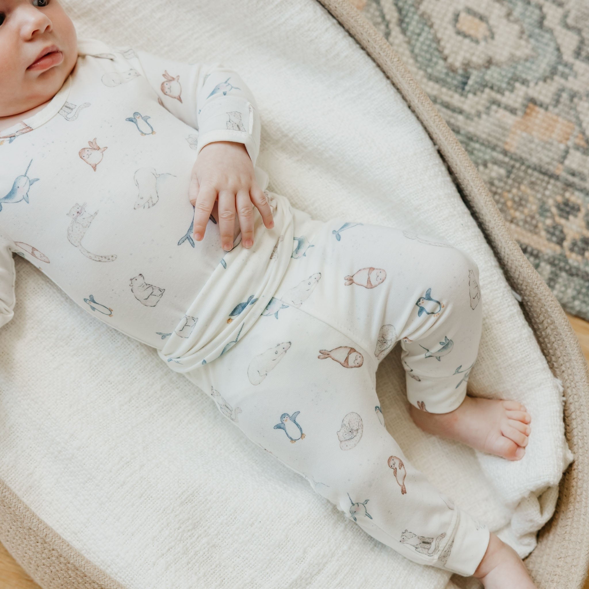 Baby Pants - Arctic Wonder