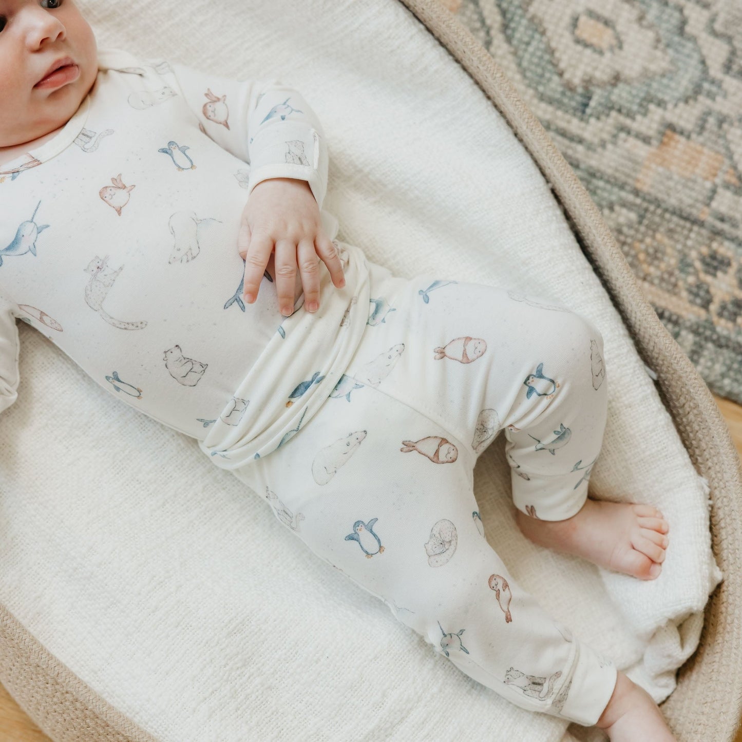 Baby Pants - Arctic Wonder