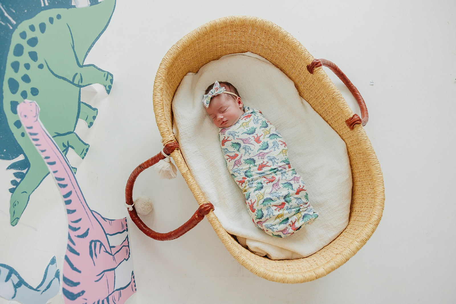 Ribbon Baby Bow - Dinosaurs of Jurassic Park