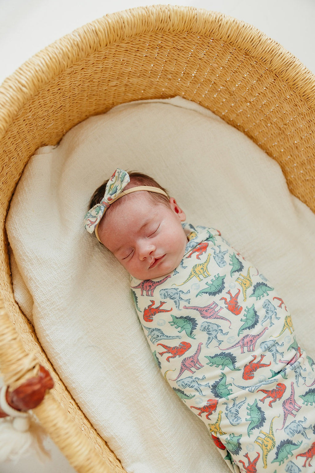 Bowtie Baby Bow - Dinosaurs of Jurassic Park