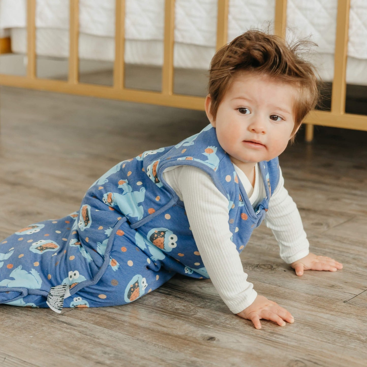 Sleep Bag - Cookie Monster