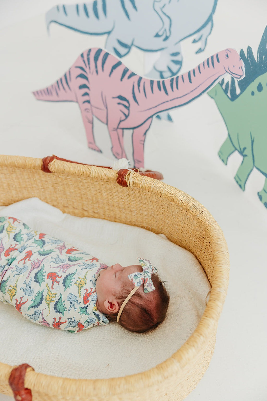 Ribbon Baby Bow - Dinosaurs of Jurassic Park