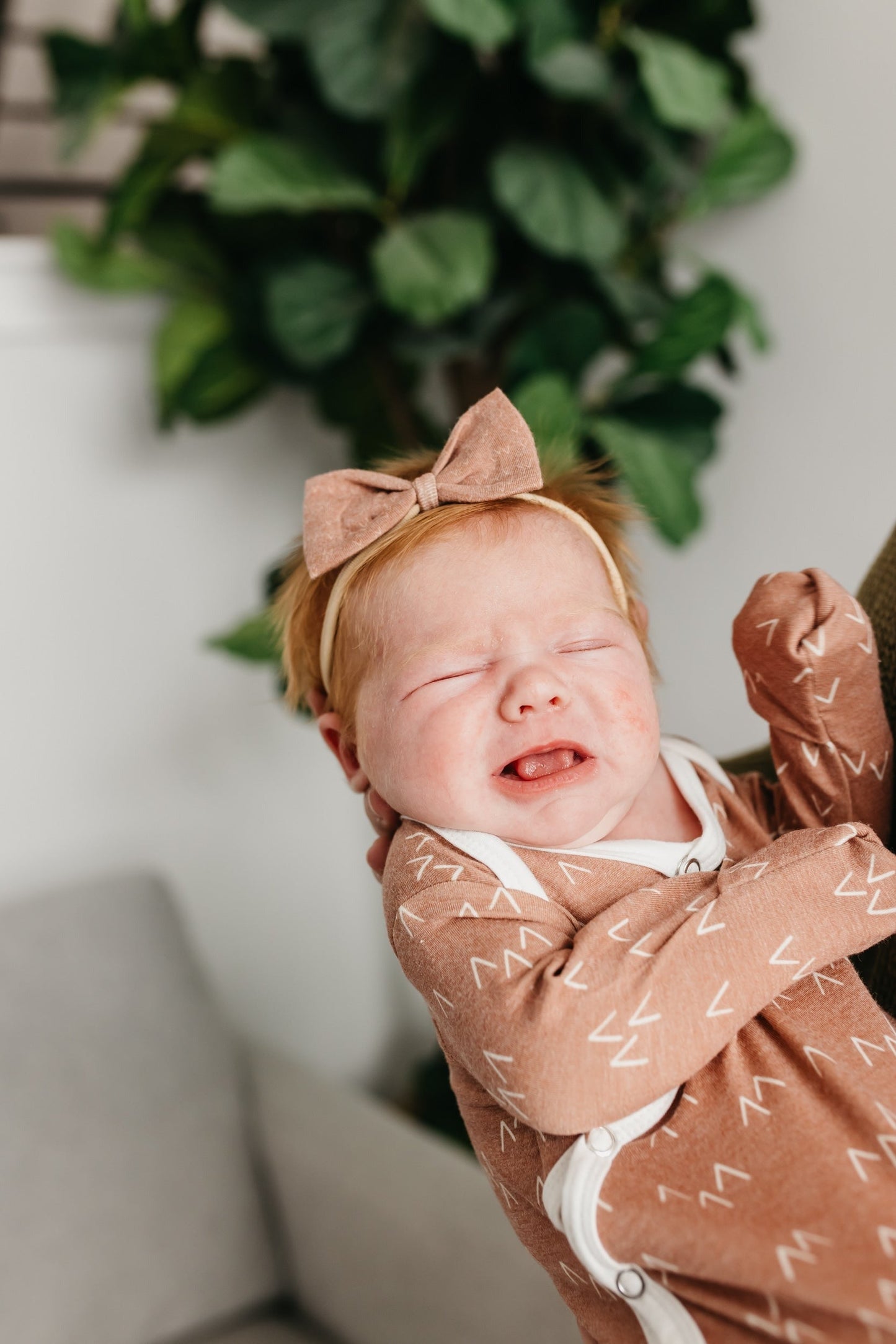 Bowtie Baby Bow - Rocky